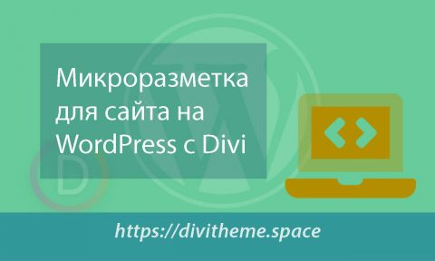 Рисунок Микроразметка для сайта на WordPress c Divi