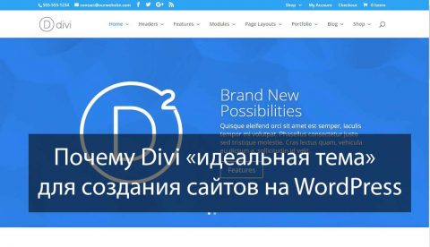 Почему Divi «идеальная тема» для создания сайтов на WordPress