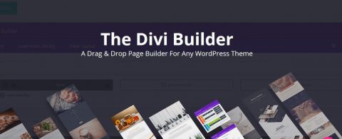 Divi builder - что это